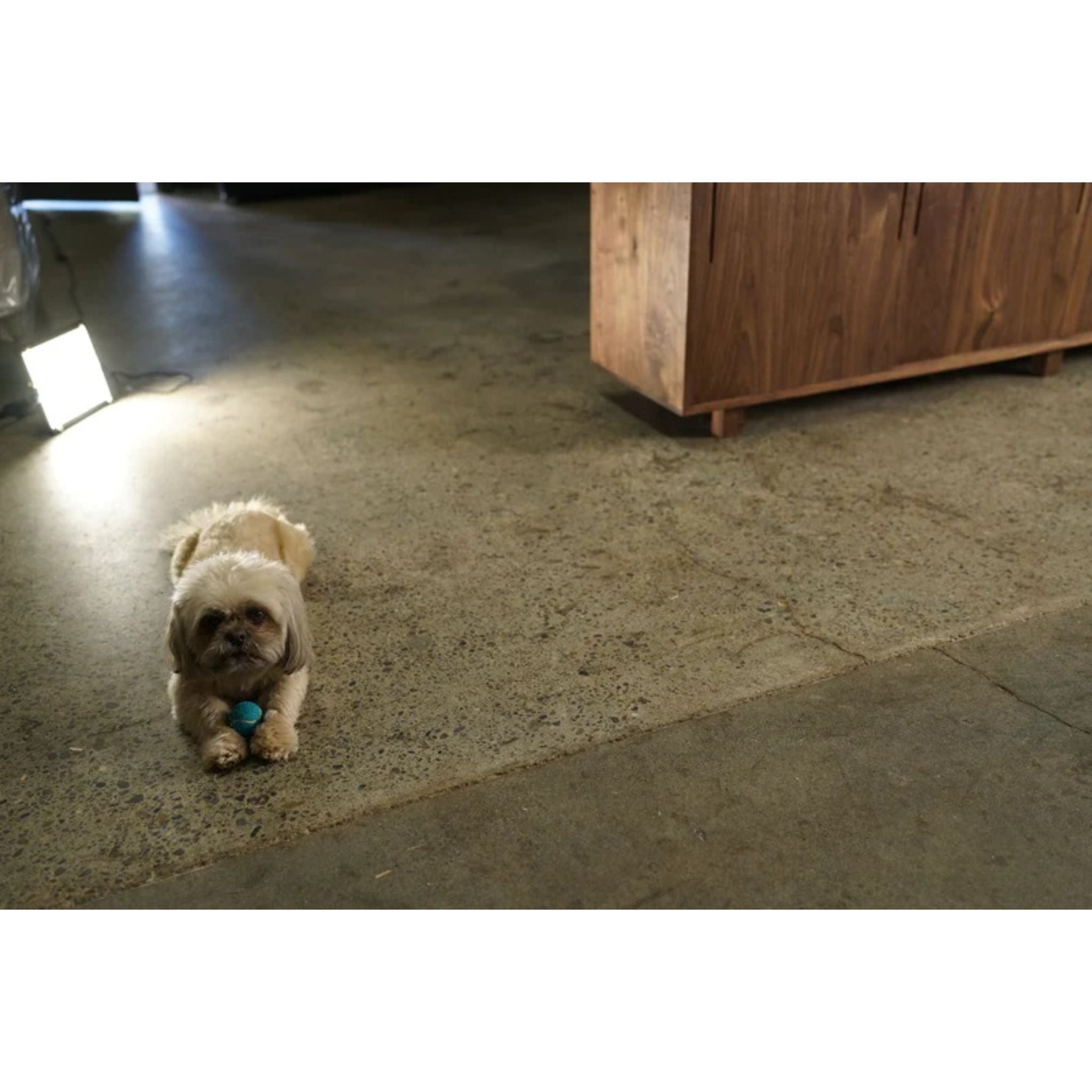 Alessi Console CN72 Room With Puppy View by Tomfoolery Wood Co