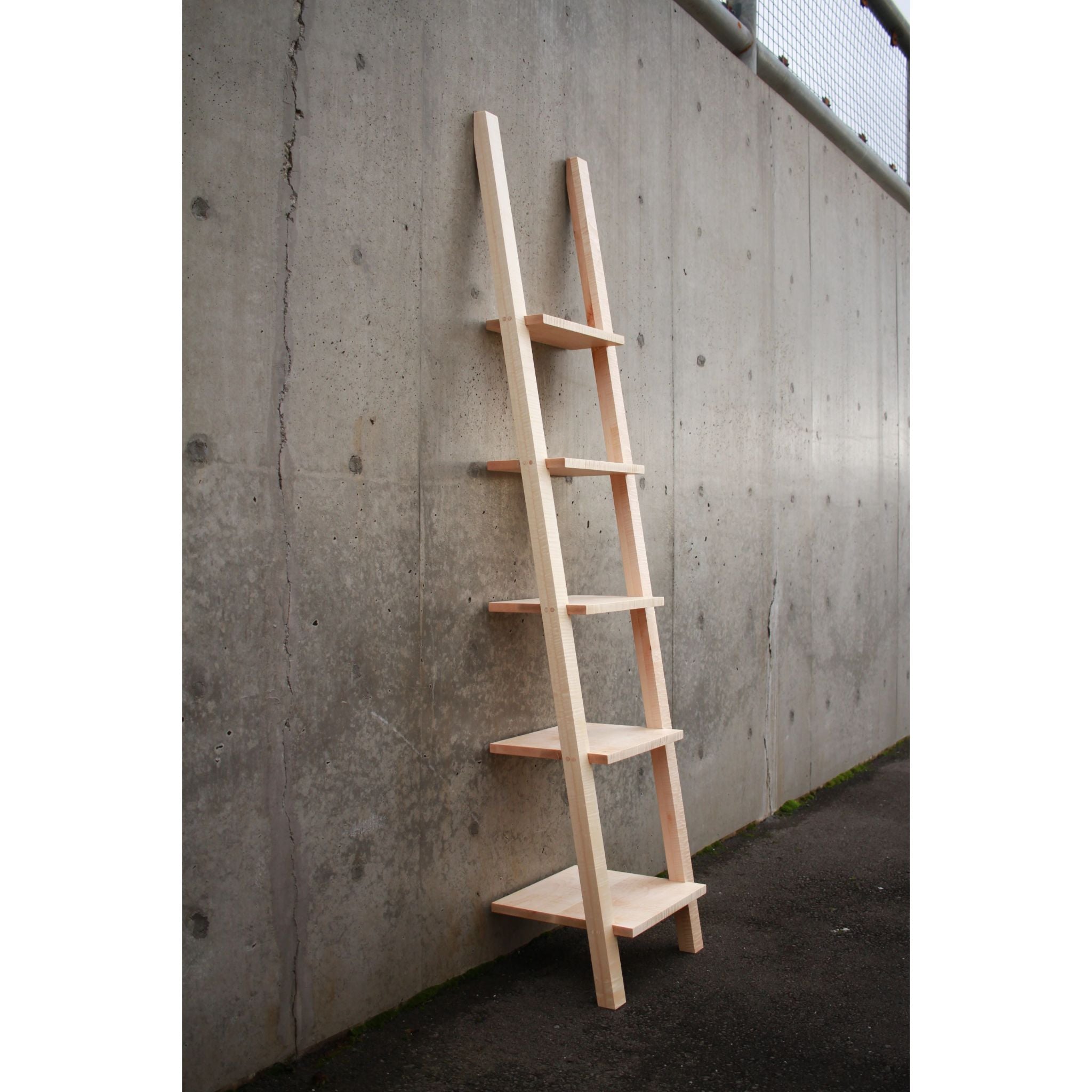 Ladder Shelf BC13 Full View by Tomfoolery Wood Co