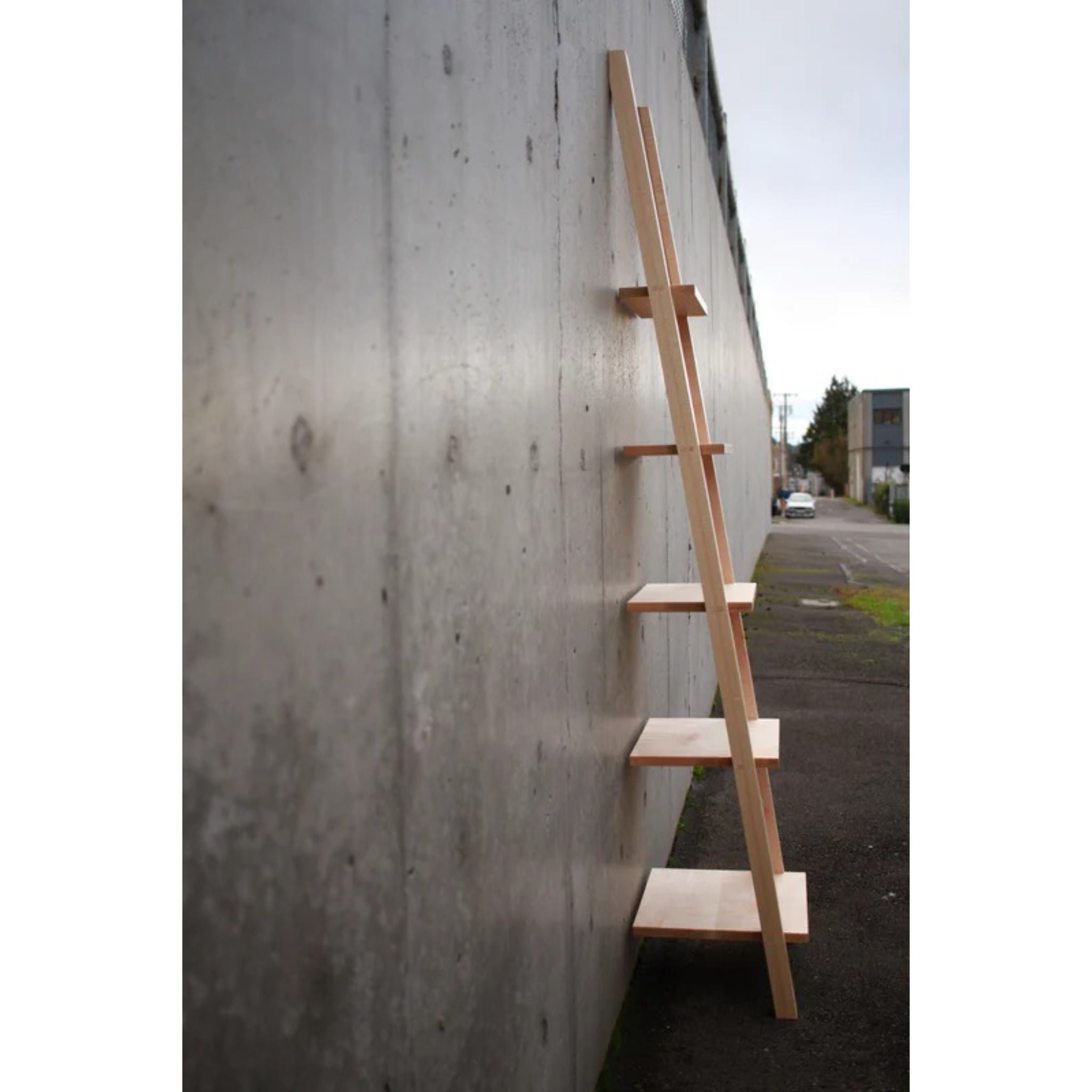 Ladder Shelf BC13 Left Side View by Tomfoolery Wood Co