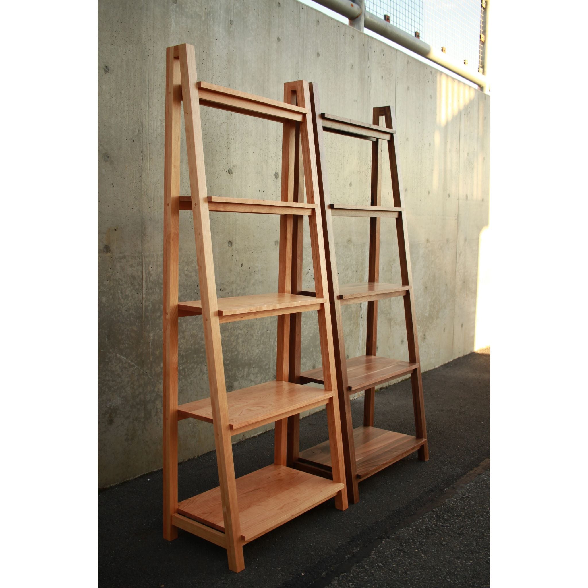 Modern Slant Bookcase BC14 Full View by Tomfoolery Wood Co