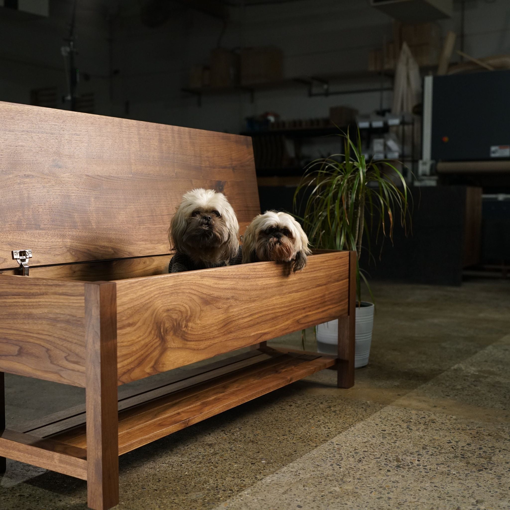 Venkat Trunk Bench BN01 Open Storage Dogs View by Tomfoolery Wood Co